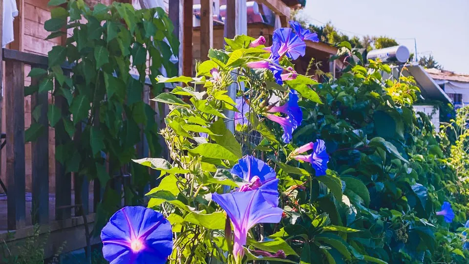 Фото: istockphoto.com