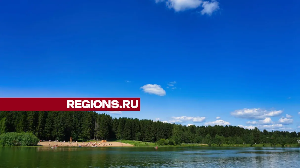 Фото: REGIONS/Дмитрий Зайчиков