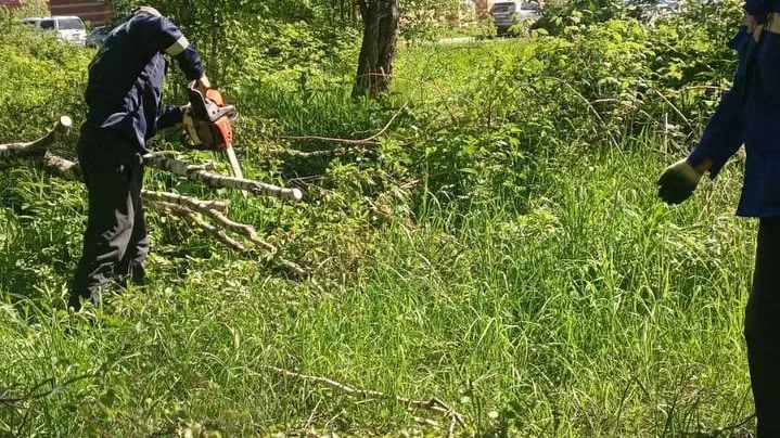 Пресс-служба администрации городского округа Лобня