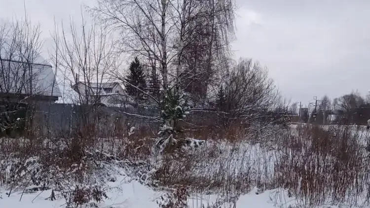 Участок на торгах в м. о. Егорьевск
