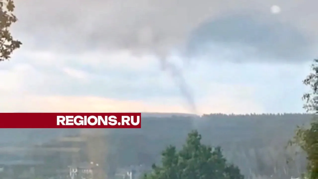 Фото: t.me/ru_balashiha