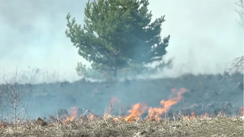 Фото: Наталия Надточая