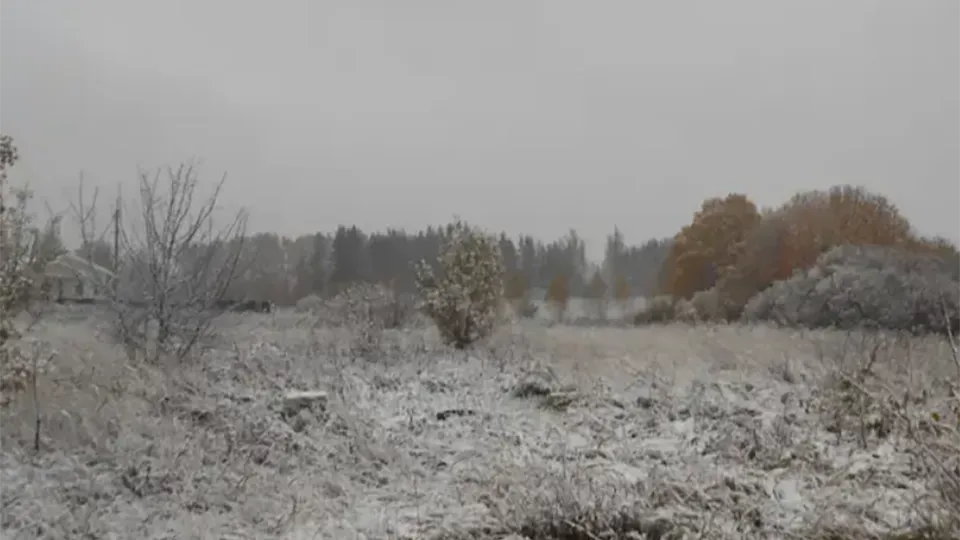 Фото: Комитет по конкурентной политике Московской области