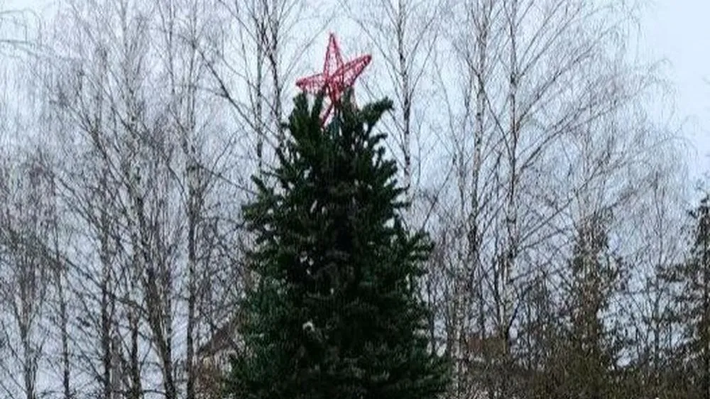 Фото: Администрация городского округа Истра / ВКонтакте