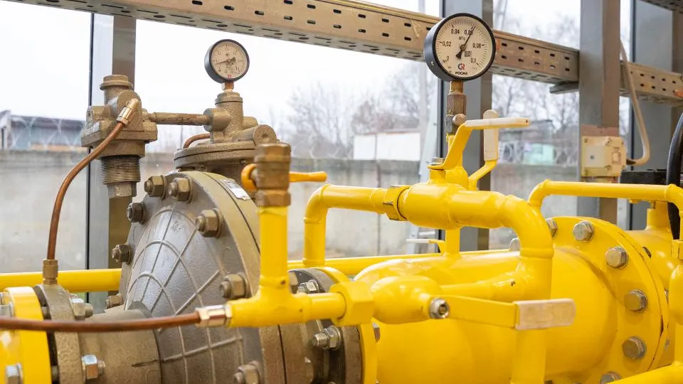 Фото: пресс-служба губернатора и правительства Московской области