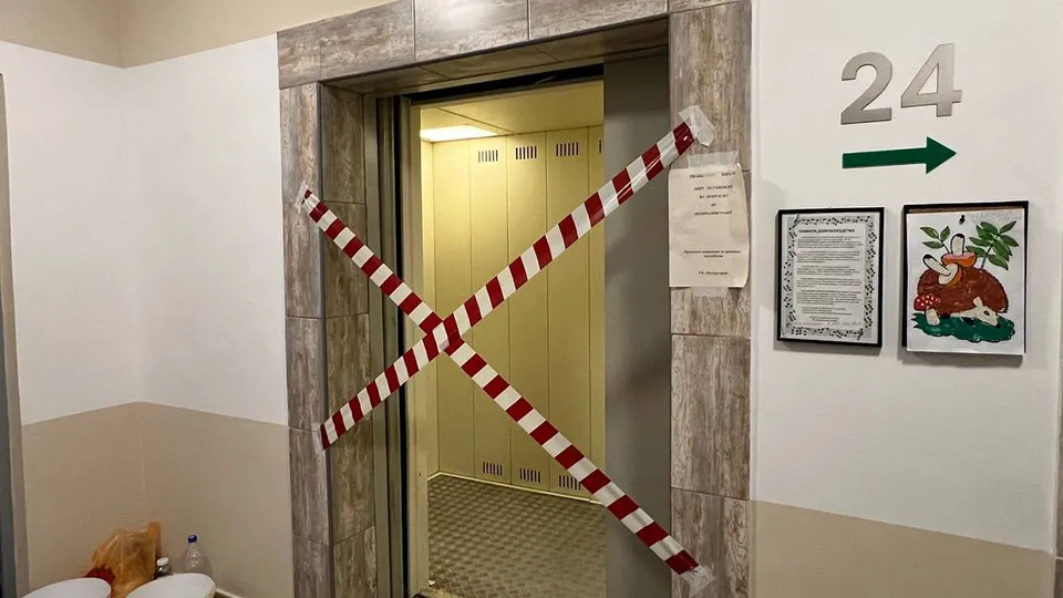 Фото: МедиаБанк Подмосковья/Ксения Казакова