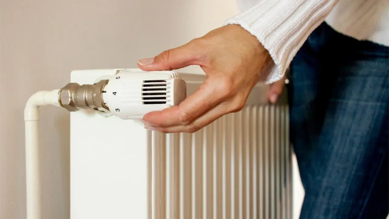 Фото: istockphoto.com/SonjaBK