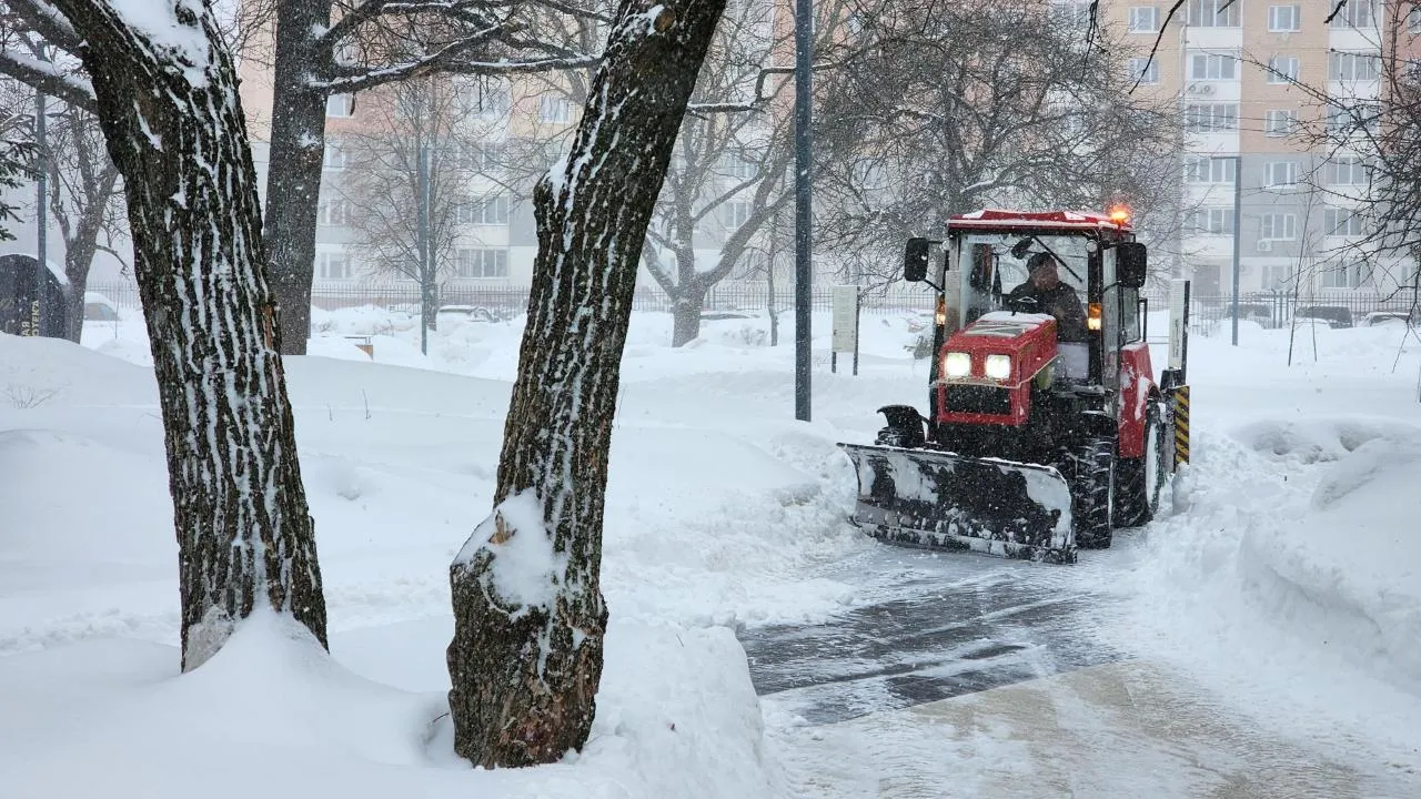 REGIONS/Мария Шигорева