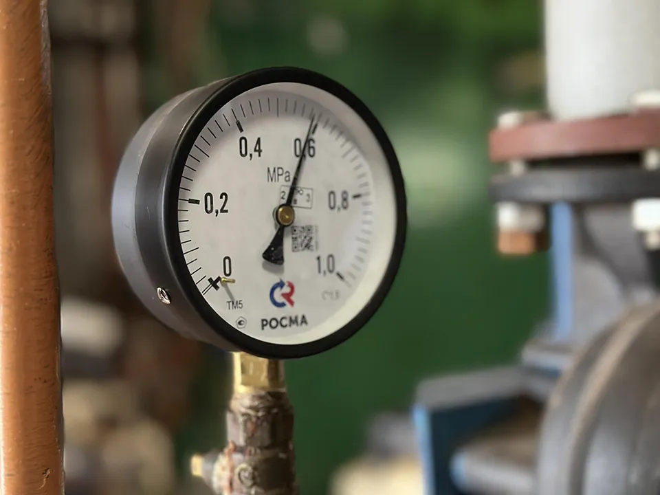 Фото: МедиаБанк Подмосковья/Кристина Тришина