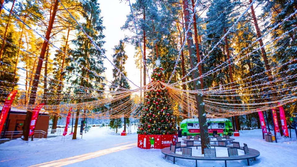 Фото: t.me/@vorobiev_live