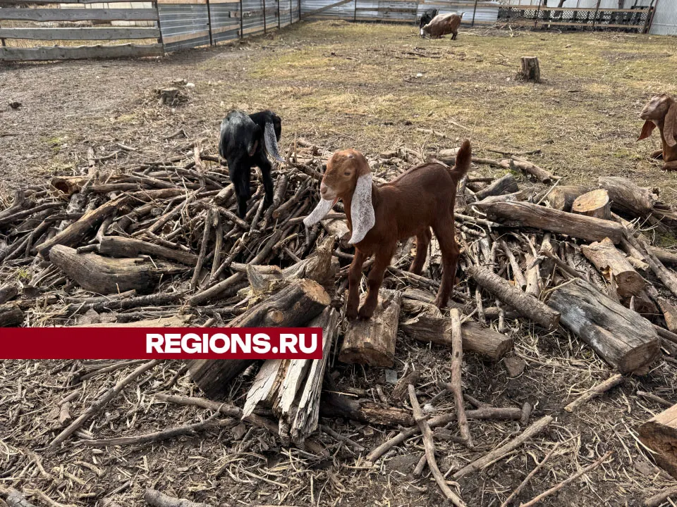 Фото: Татьяна Рунова