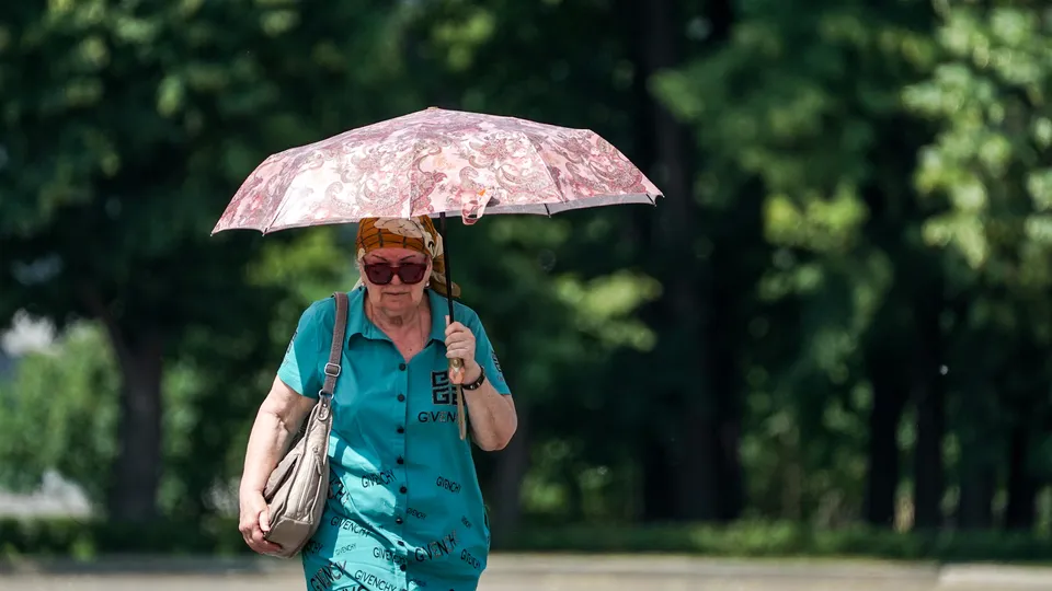 Фото: медиасток.рф