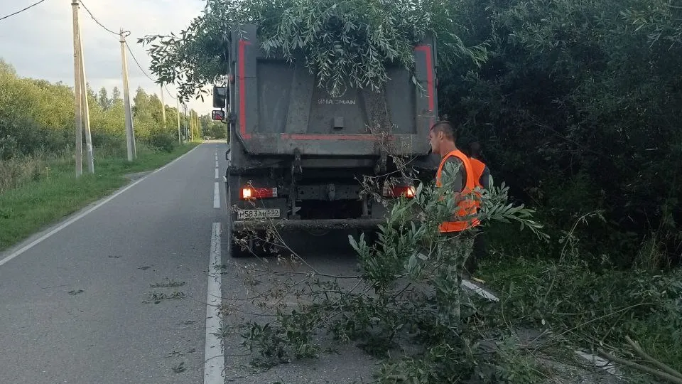 Фото: транспортная компания «Движение»