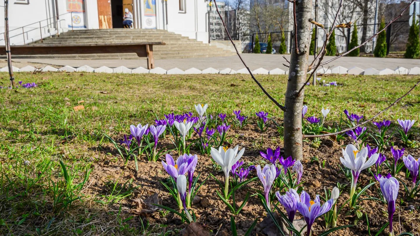 Фото: медиасток.рф