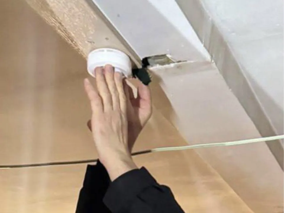 Фото: пресс-служба администрации м.о. Истра