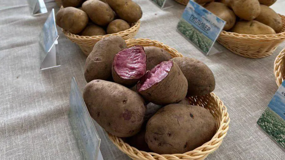 Фото: Минсельхозпрод МО