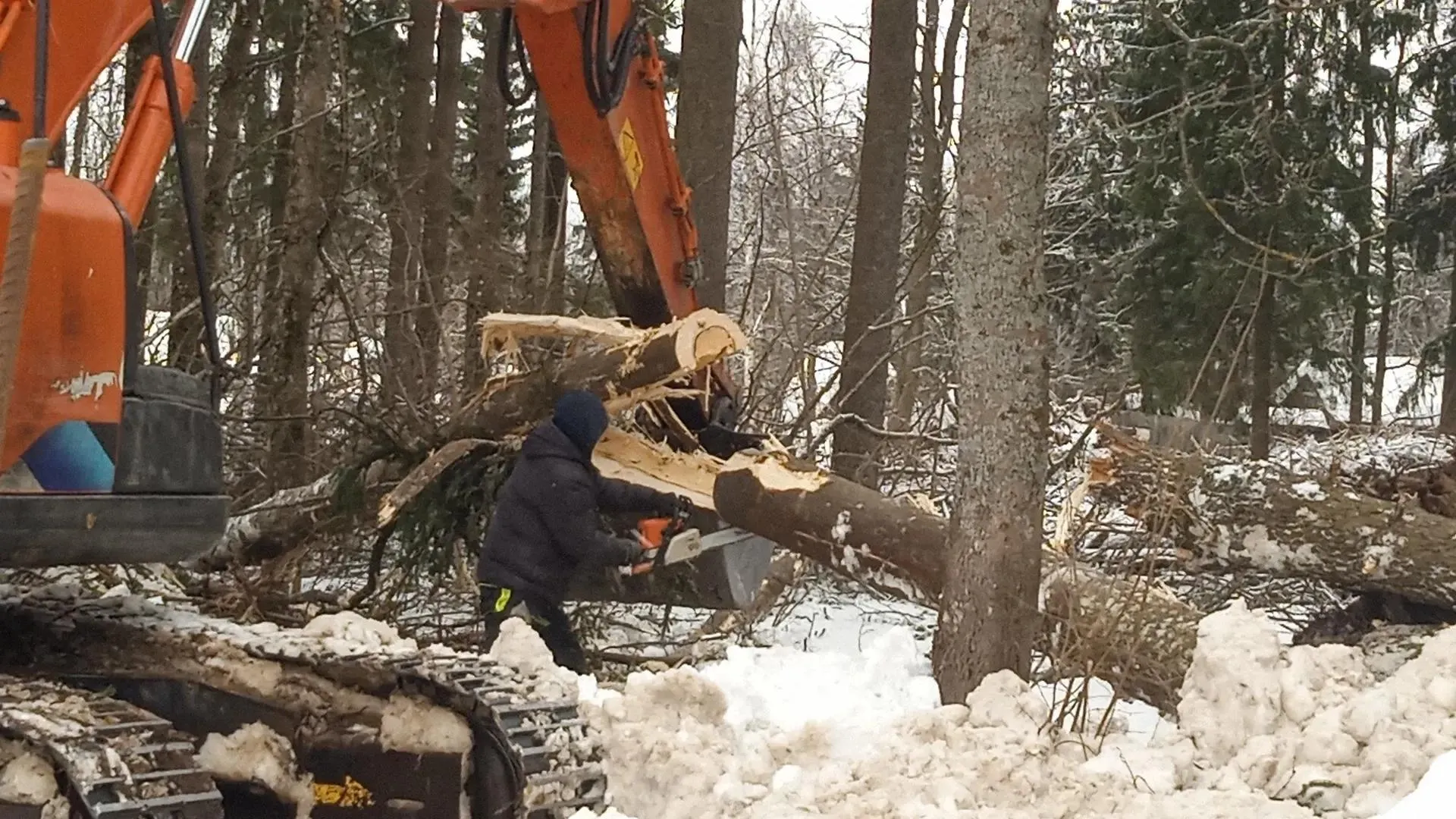МедиаБанк Подмосковья/Анастасия Новак