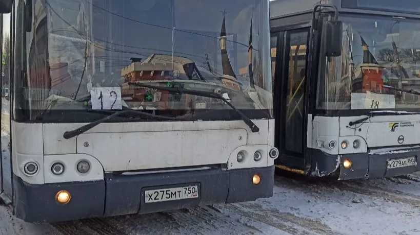 Фото: телеграм-канал «Домодедовод: новости Домодедово»