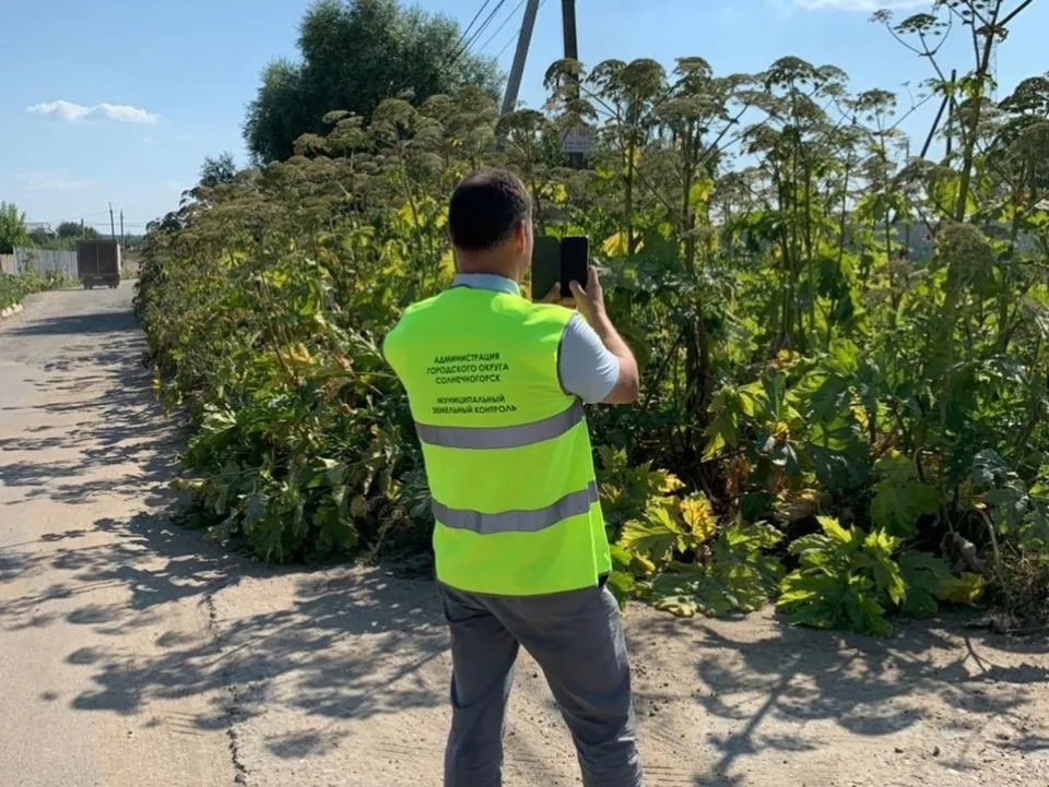 Фото: Министерство имущественных отношений Московской области