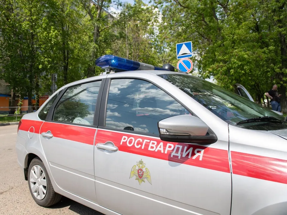 Фото: пресс-служба г.о. Лыткарино