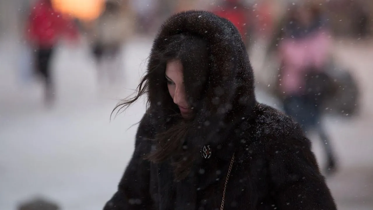 медиасток.рф