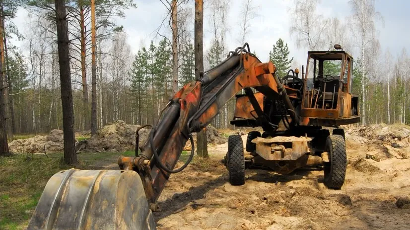 Фото: freepik.com