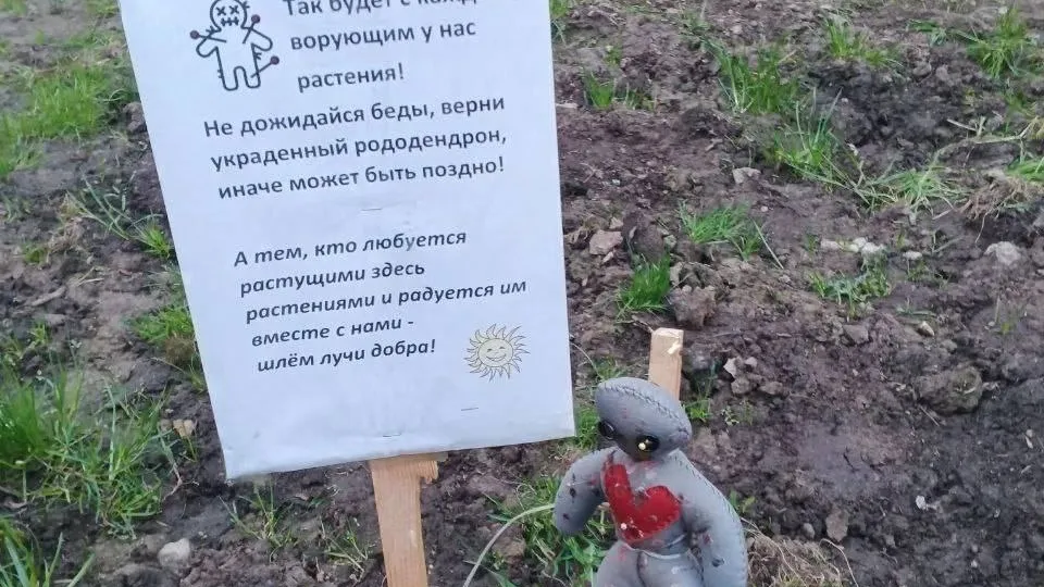 Фото: t.me/rusavkino_romanovo