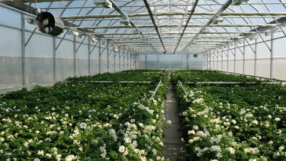 Фото предоставлено предприятием «Дока-Генные Технологии»