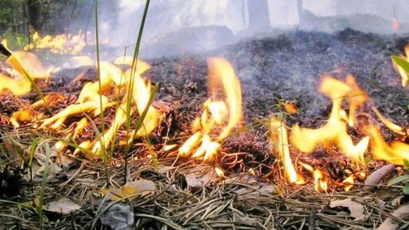 Губернатор Иркутской области назвал причину крупного пожара в регионе