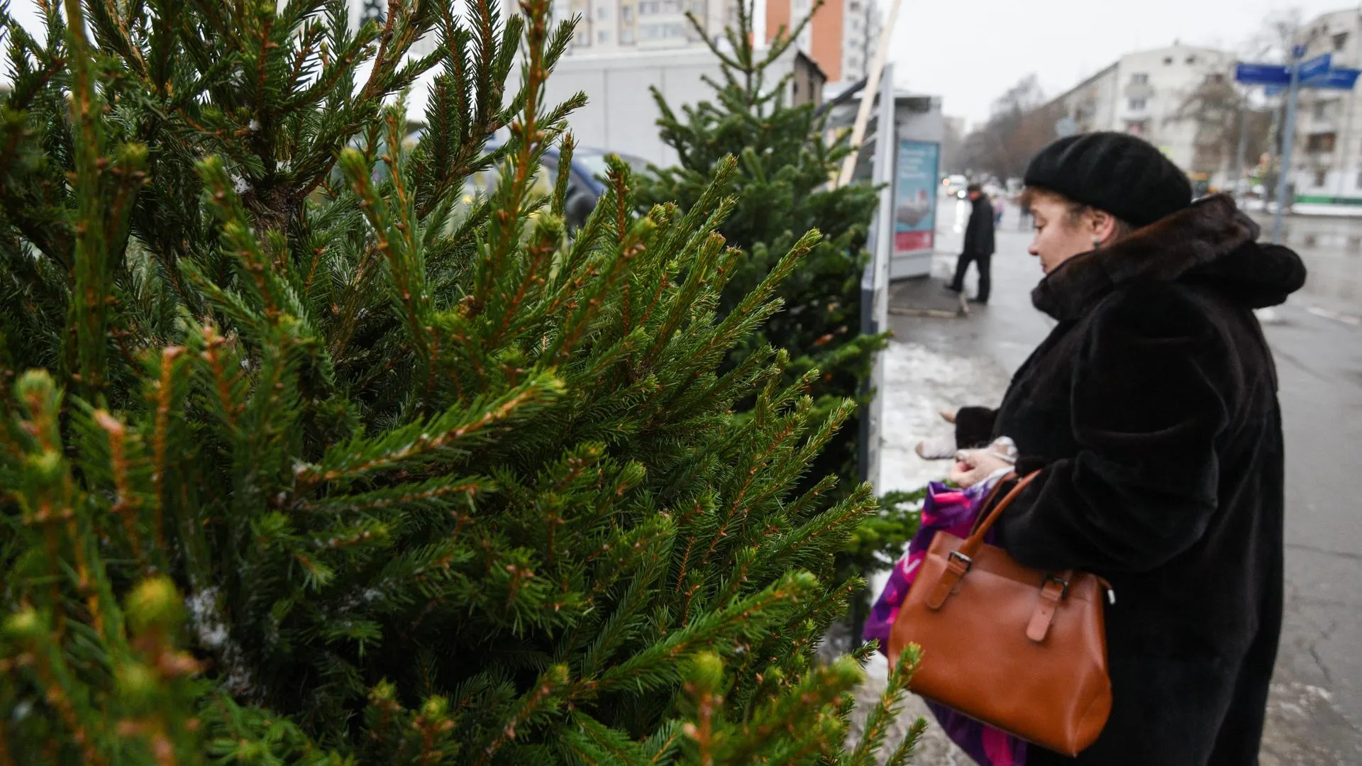 В Нижнем Новгороде открылись елочные базары