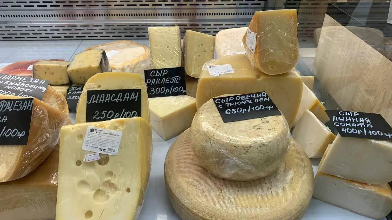 Хавива Фонина