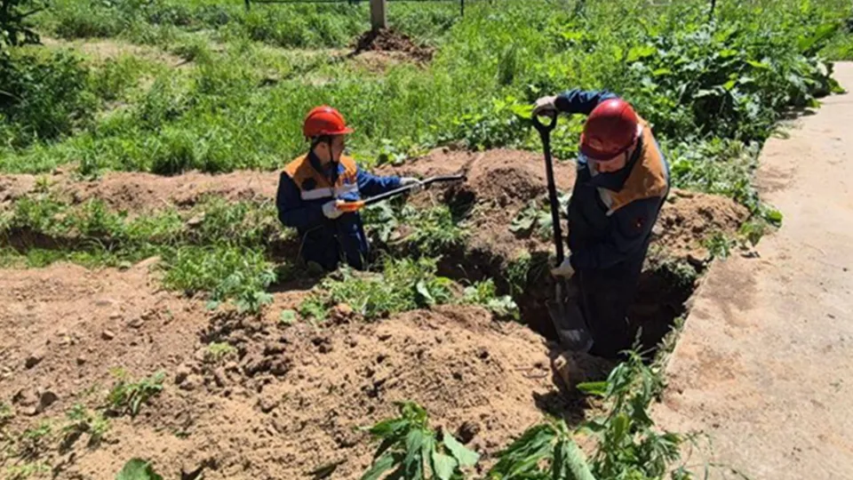 Фото: Мособлэнерго