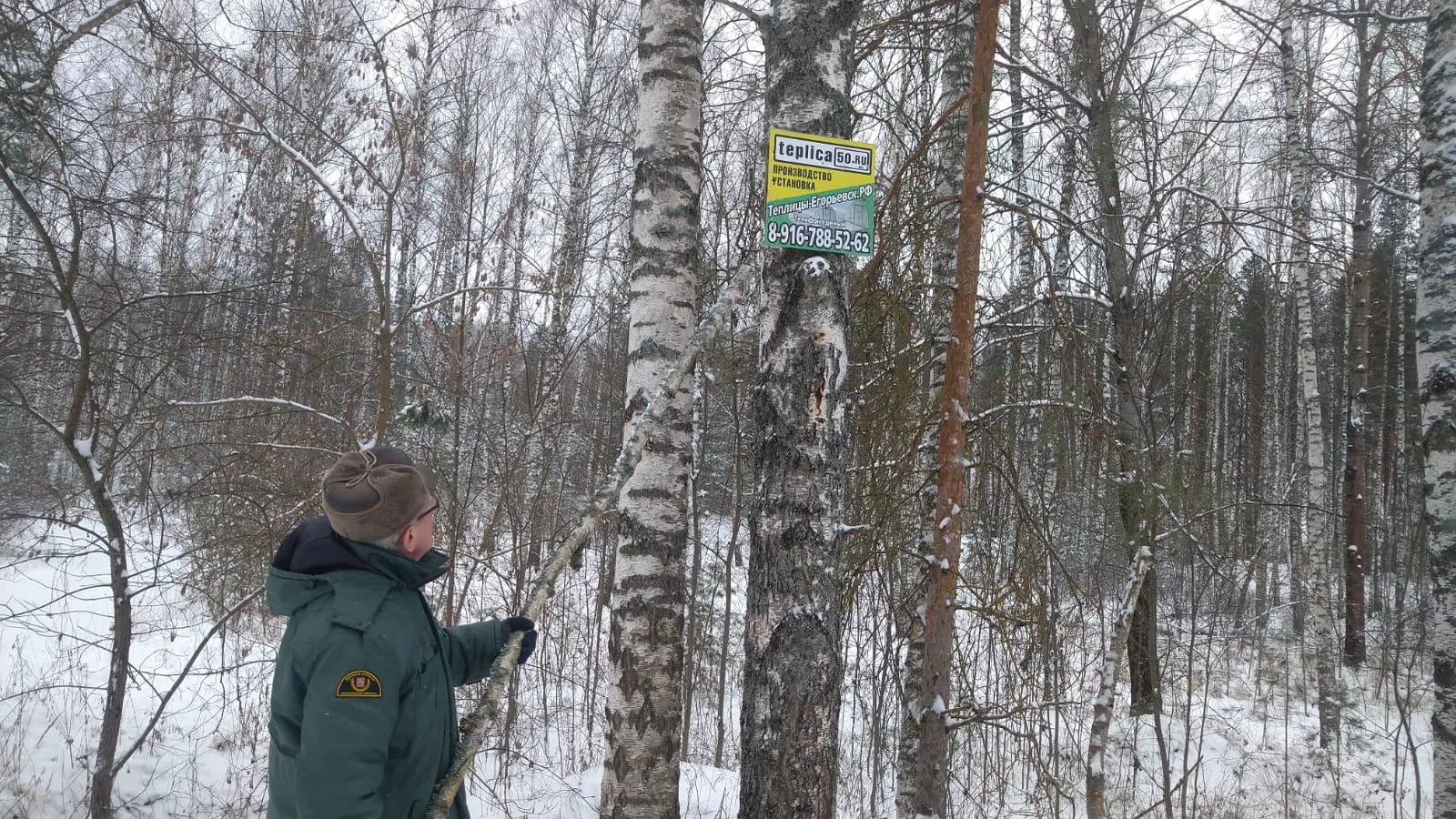 Комитет лесного хозяйства Московской области