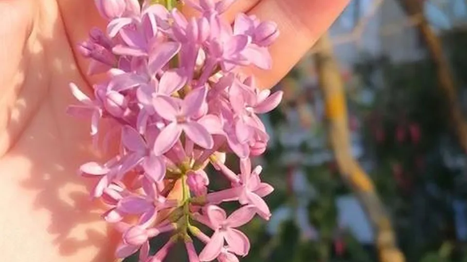 Фото: пресс-служба Администрации г.о. Волоколамск