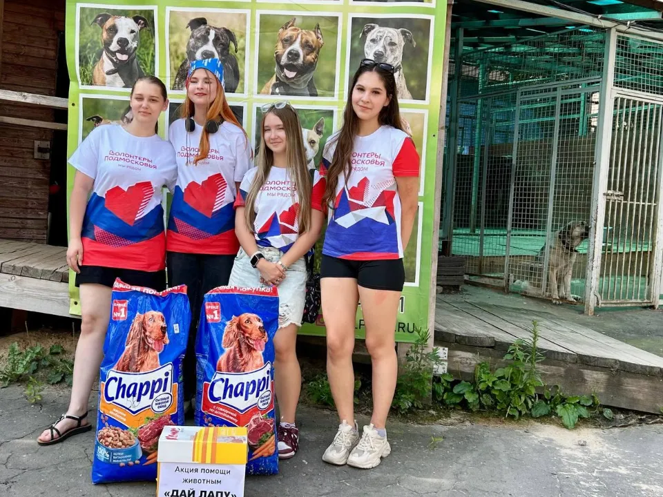 Фото: пресс-служба администрации г.о. Лобня