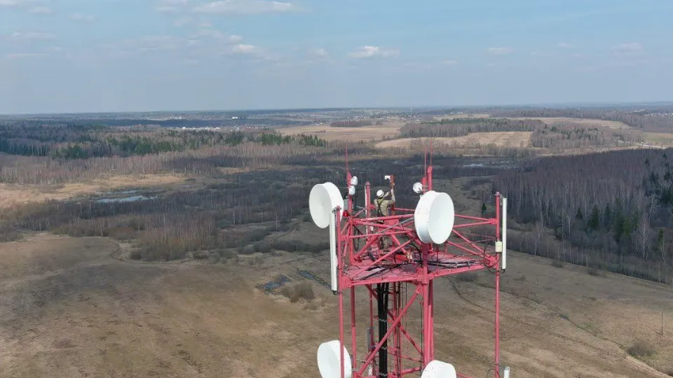 Фото: Комитет лесного хозяйства Московской области