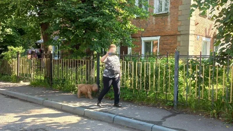 Типичное Видное / ВКонтакте