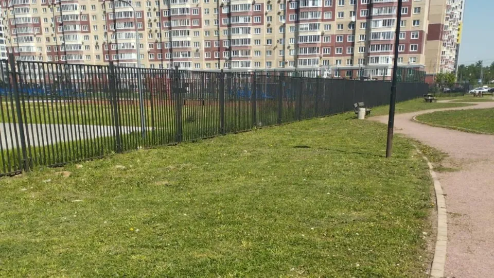 Фото: пресс-служба администрации Ленинского г.о.