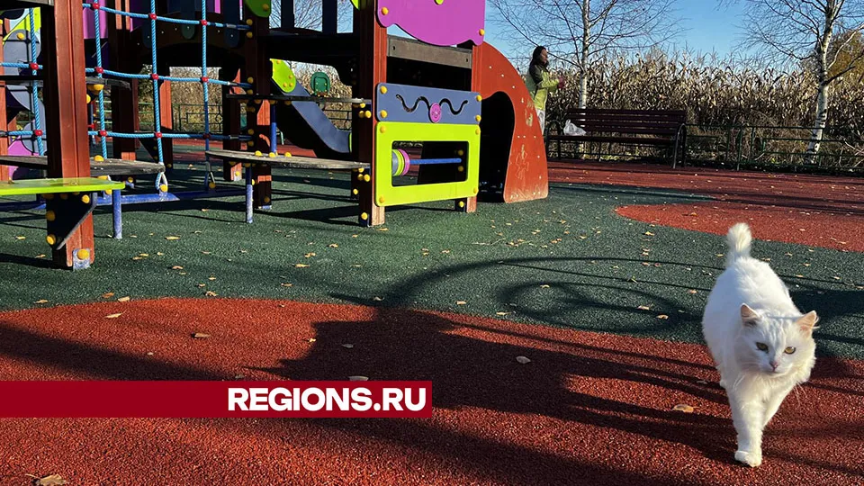 Фото: Наталья Котова