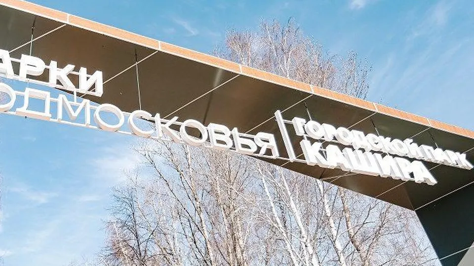 Фото: пресс-служба администрации г.о. Кашира