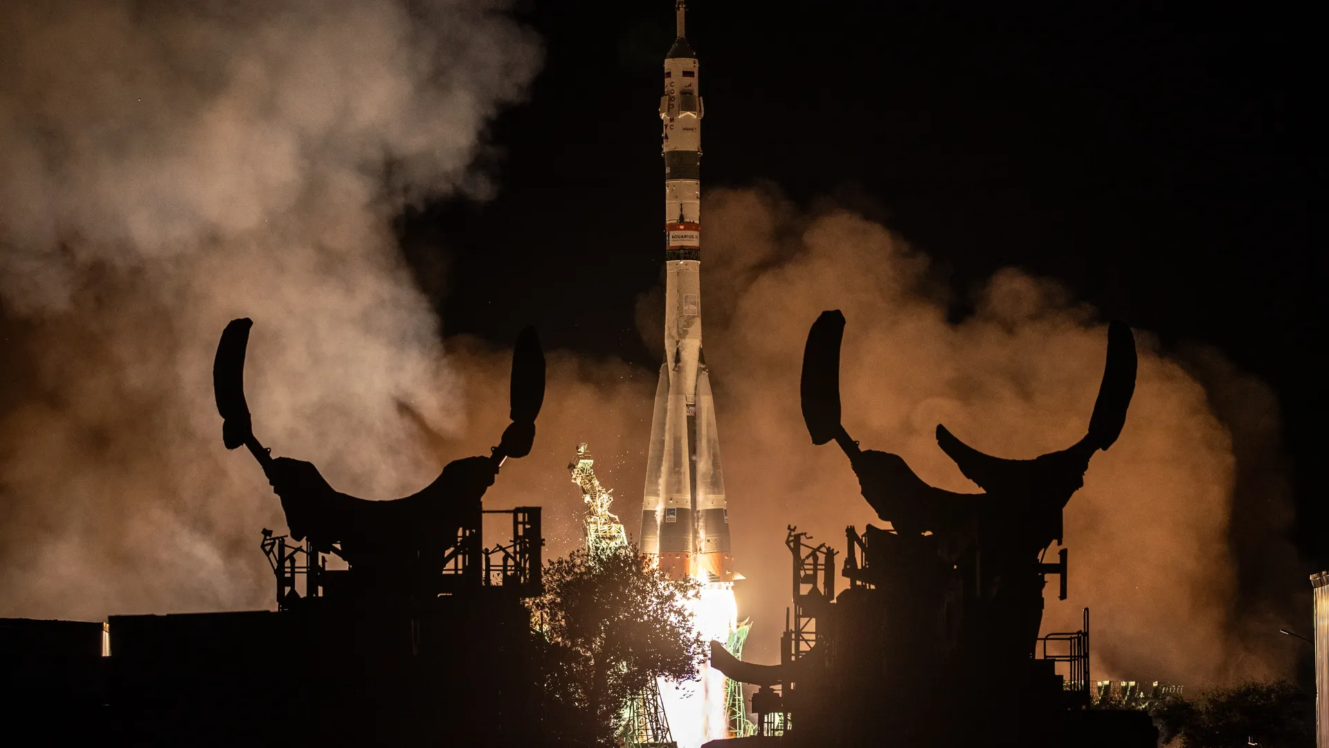 Фото: ТАСС/Сергей Савостьянов