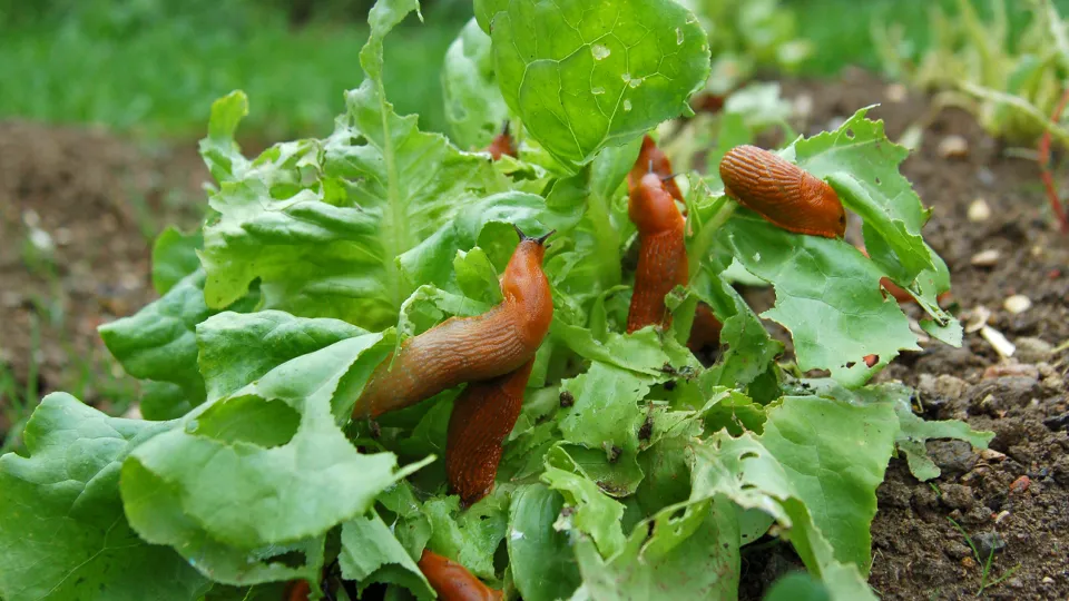 Фото: istockphoto.com