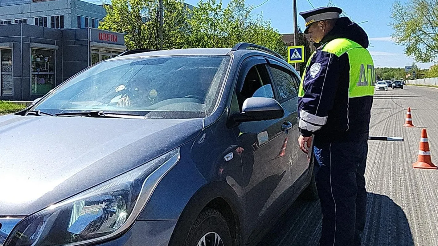 Фото: Нина Басистая