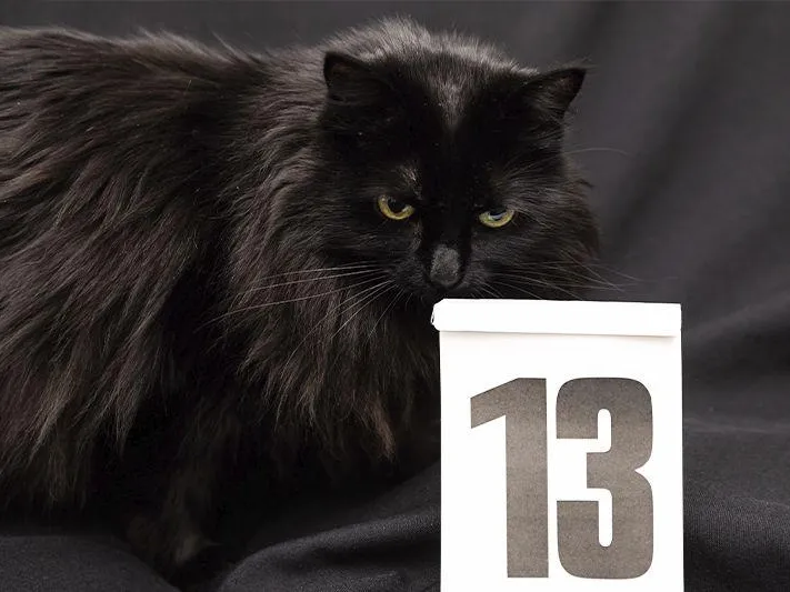 Астролог успокоила россиян, которые боятся пятницы 13-го