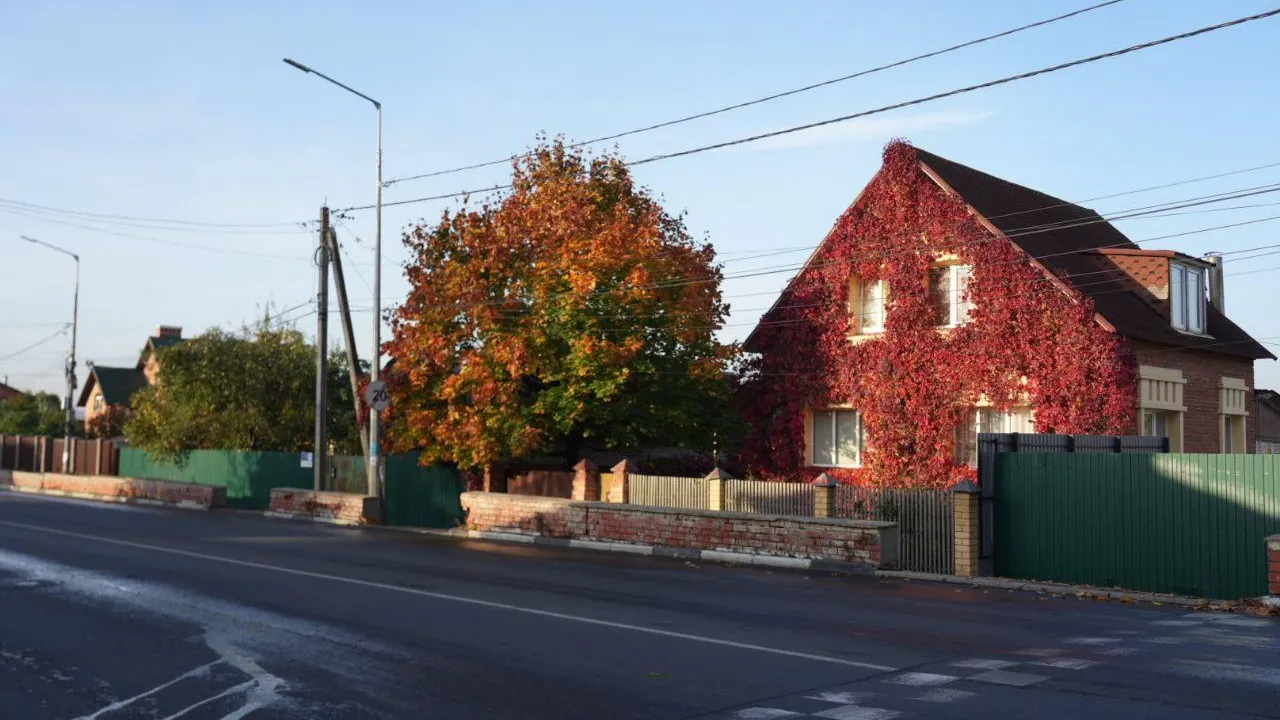 Дмитрий Зайчиков