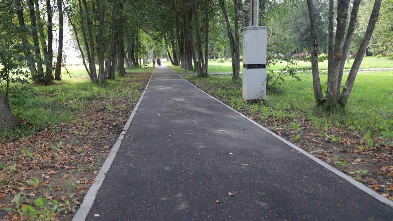 Фото: пресс-служба администрации Волоколамского округа