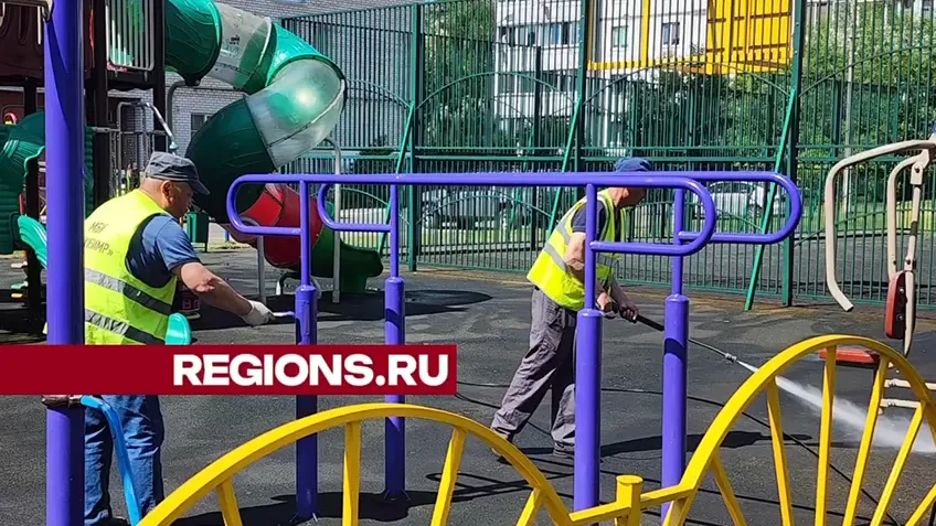 Фото: Светлана Борщева