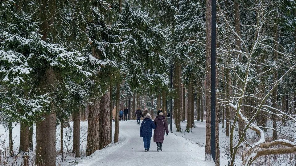 Фото: медиасток.рф