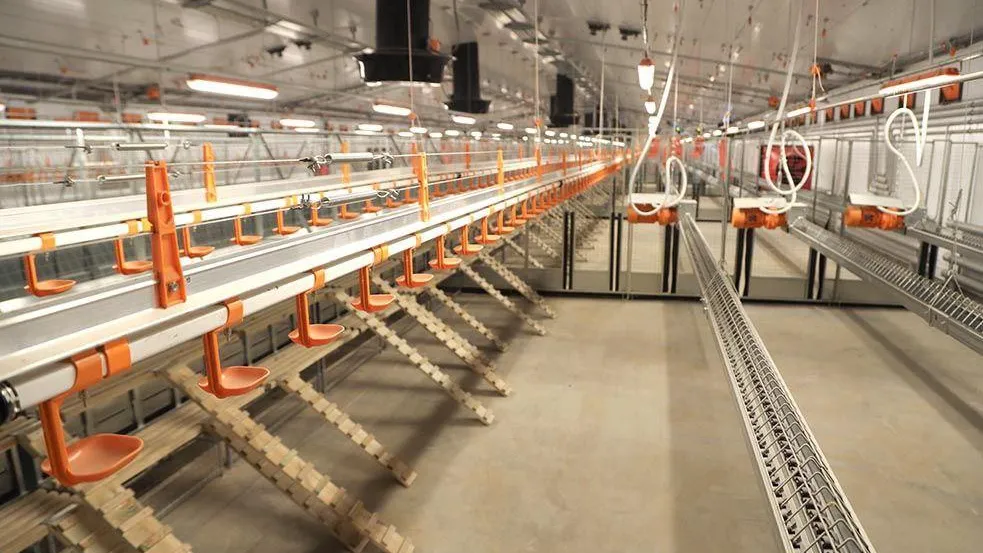 Администрация Сергиево-Посадского городского округа