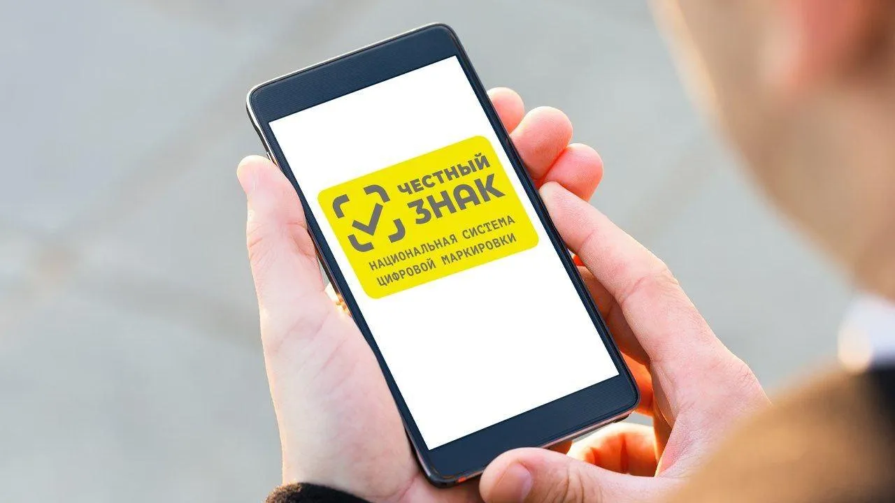 © тг-канал «Вести Подмосковья»